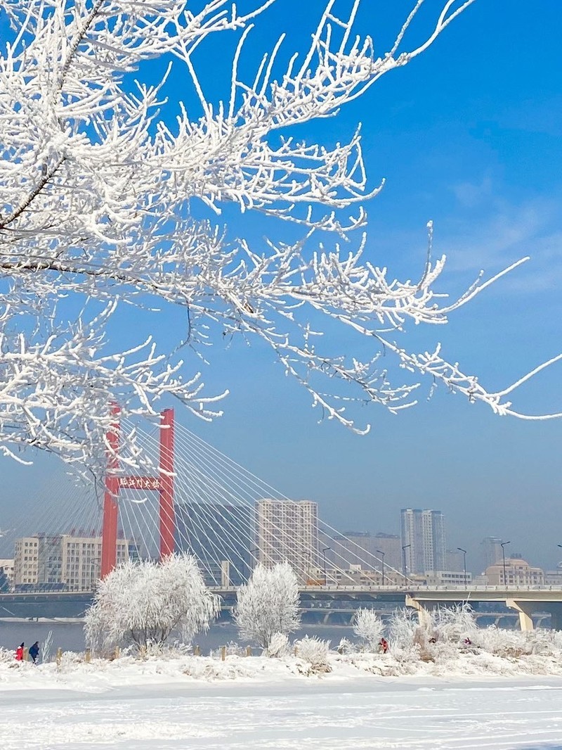 吉林，致尊敬的听众朋友们